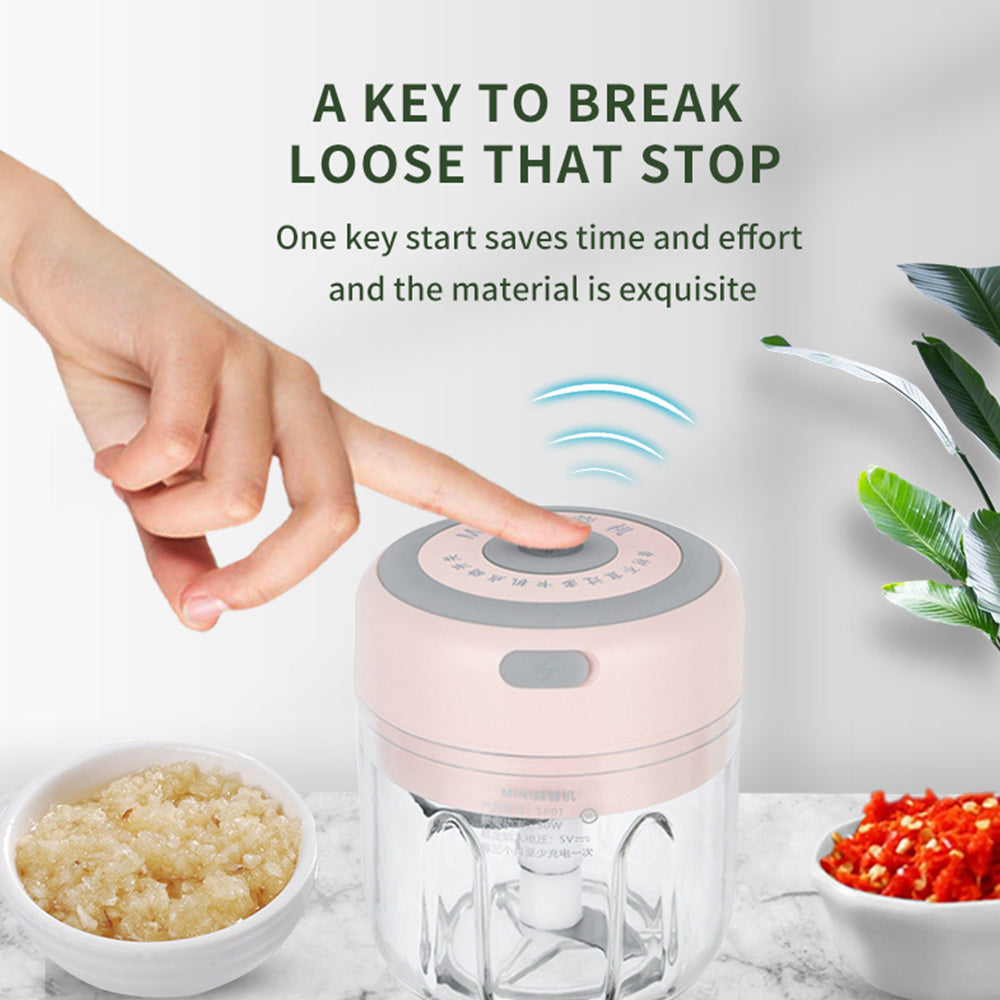 USB Mini Electric Garlic Chopper - Globentra